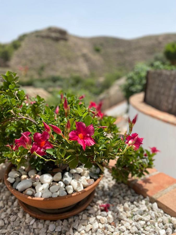 Cortijo Perejil, A Tranquil Mountain Escape & Private Pool Appartement Oria Buitenkant foto