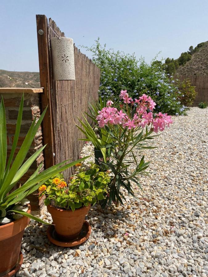 Cortijo Perejil, A Tranquil Mountain Escape & Private Pool Appartement Oria Buitenkant foto