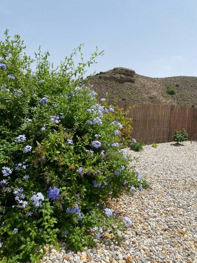 Cortijo Perejil, A Tranquil Mountain Escape & Private Pool Appartement Oria Buitenkant foto